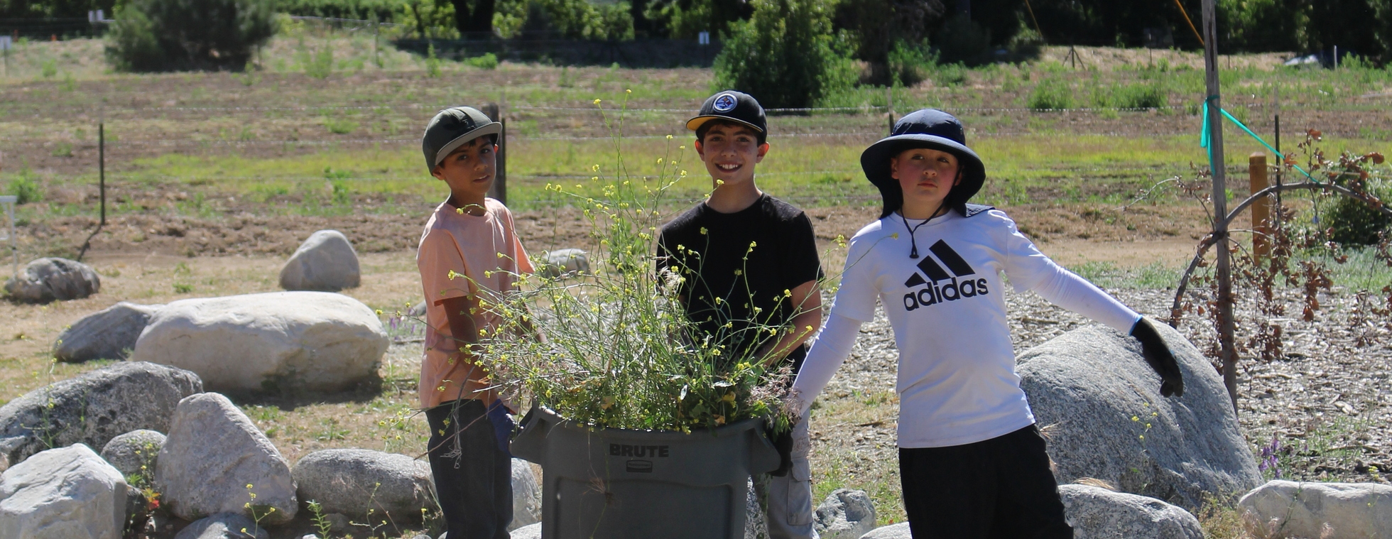Volunteer Stewardship Day